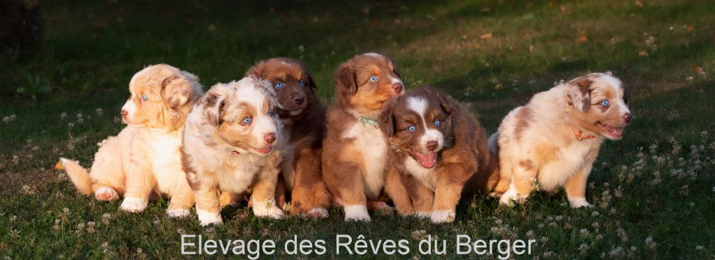 Les bébés de Skyblue et Ruby sont arrivés ! 